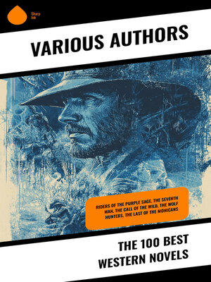 cover image of The 100 Best Western Novels